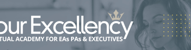 Your Excellency – Mini MBA On-Demand