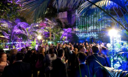 Discover a Hidden Oasis in the Iconic Barbican Conservatory this Christmas