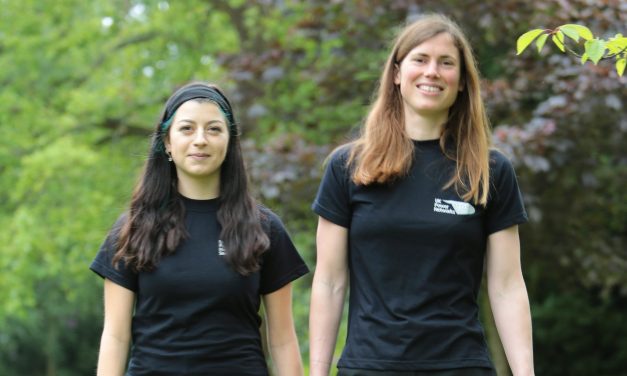 Women offered Energy industry insight