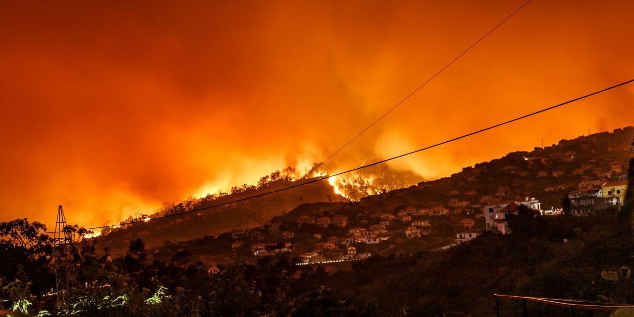 Wild Fires and the Business Traveller