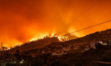 Wild Fires and the Business Traveller